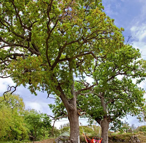 Dom wakacyjny Fondaco Del Fico *