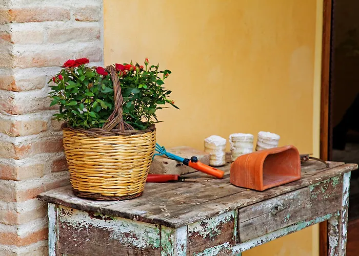 Dom wakacyjny Fondaco Del Fico