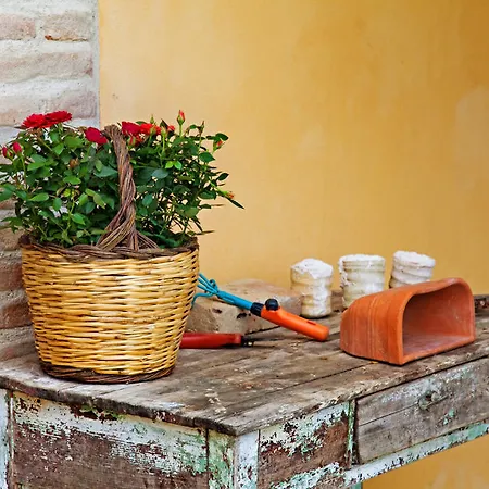 Casa vacanze Fondaco Del Fico