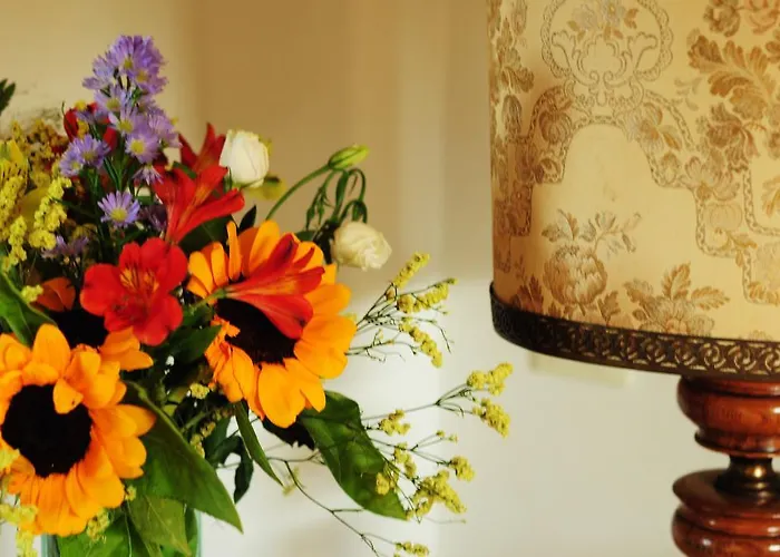 冯达科德尔菲乔度假屋 度假居 罗切拉伊奥尼卡